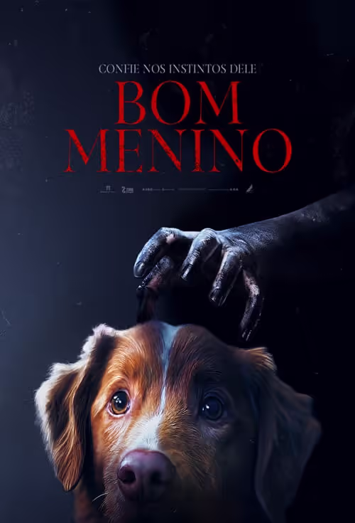 BOM MENINO